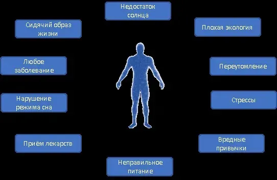 Инвакапс : в составе только натуральные ингредиенты.